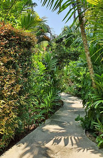 green garden