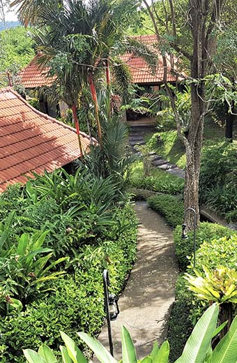 green garden view